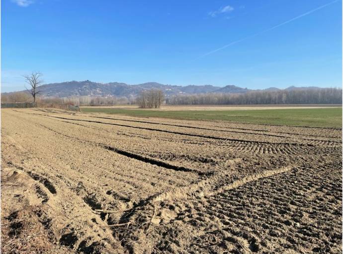 Farina biologica per buon pane per le famiglie in difficoltà sul campo  confiscato alla mafia a Settimo Torinese